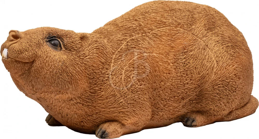 3D krysa bambusová (bamboo rat) Booster