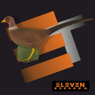 3D bažant Eleven