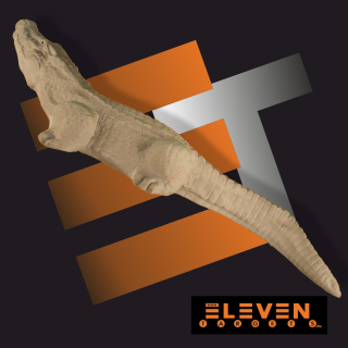 3D krokodýl Eleven