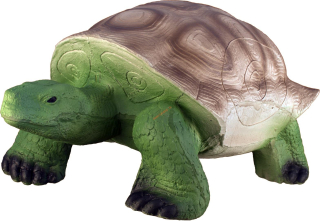 3D želva Eleven