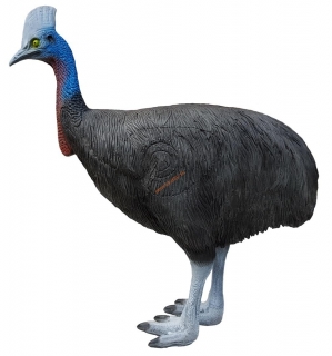 3D kasuár (Cassowary) Eleven