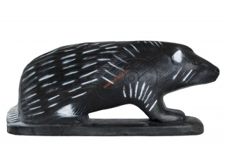 3D dikobraz WildLife