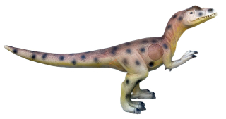 3D Allosaurus Eleven s insertem