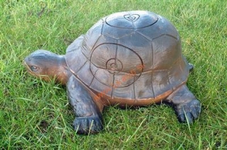 3D želva WildLife