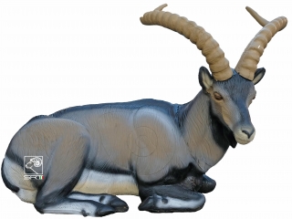 3D ležící kozoroh pyrenejský SRT