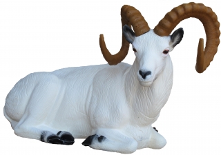 3D ležící ovce Dallova SRT