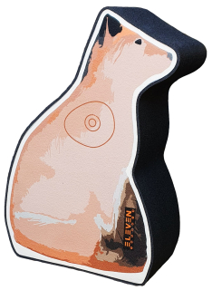 2D liška Eleven