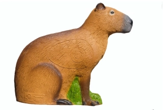 3D capybara SRT