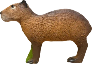 3D capybara TIKK 3Di